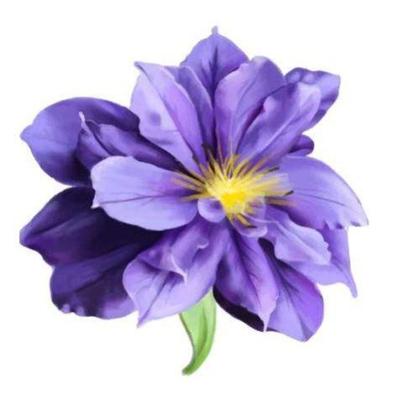 Imagem de Cortina De Pia Para Cozinha Renda 1,60x0,80m Violeta - Rendam