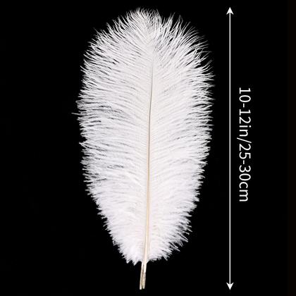 Imagem de Craft Feathers THARAHT Ostrich White 24 unidades 25-30 cm