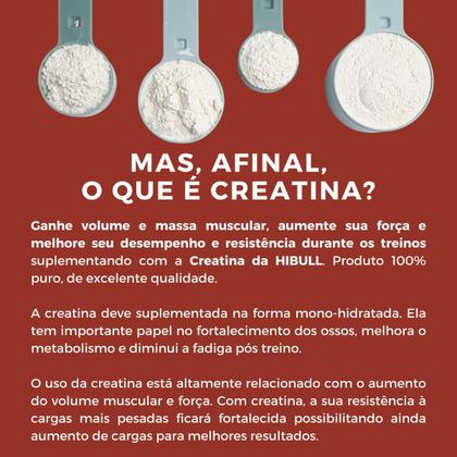 Imagem de Creatina 300g Creatine Pure Monohydrate Powder Hibull