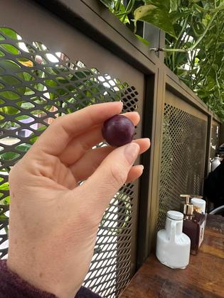 Imagem de Creatina em Gomas Moti Beauty 3g por Goma Sabor Uva