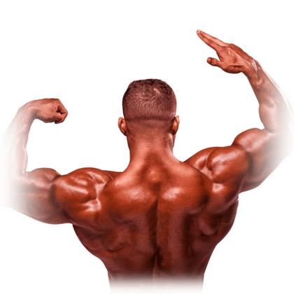 Imagem de Creatina Integralmedica 300g Hardcore Suplemento em Pó Sabor Neutro 100 Puro Monohidratada