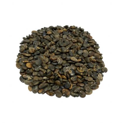 Imagem de Crotalaria Juncea 300g