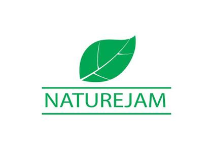 Imagem de Cubos de abóbora secos em cubos Naturejam 454g a granel