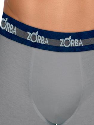 Imagem de Cueca zorba boxer 702-0