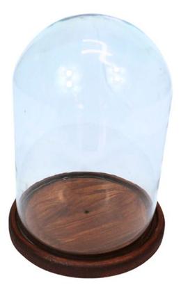 Imagem de Cúpula de Vidro Redoma de Vidro Bela e a Fera c/Base Madeira x53w