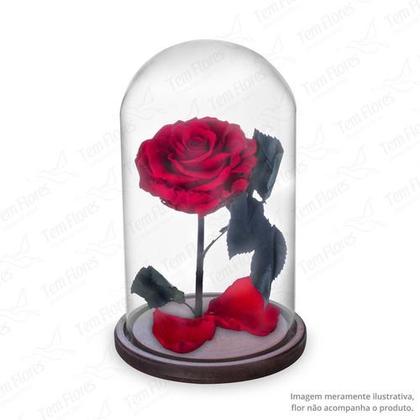 Imagem de Cúpula de Vidro Redoma de Vidro Bela e a Fera c/Base Madeira x53w