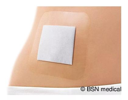 Imagem de Curativo Transparente Impermeável Com Compressa Para Feridas Machucados 8x10cm (01 Unidade)