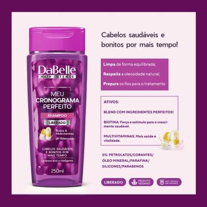 Imagem de Dabelle Kit Shampoo Adstringente 250ml + Condicionador 200ml Meu Cronograma Perfeito Multivitaminas 