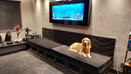 Imagem de Decoração de Casa Aquario de Parede tipo Tv