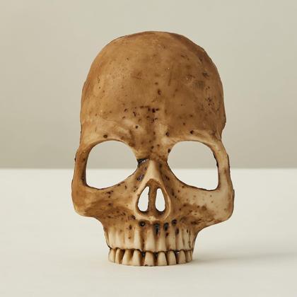 Imagem de Decoração de festa de Halloween Night Light Garnje Human Skull 2025