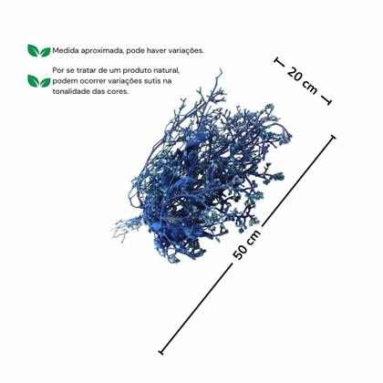 Imagem de Dedo De Anjo Azul Flor Desidratada Buque Flores Secas