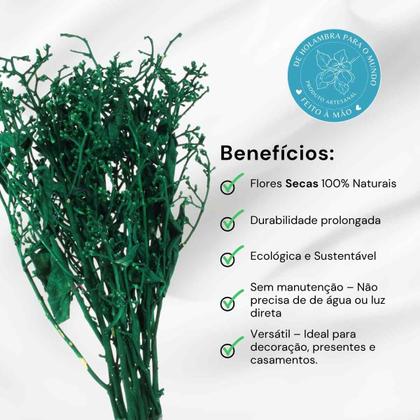 Imagem de Dedo De Anjo Verde Flor Desidratada Buque Flores Secas