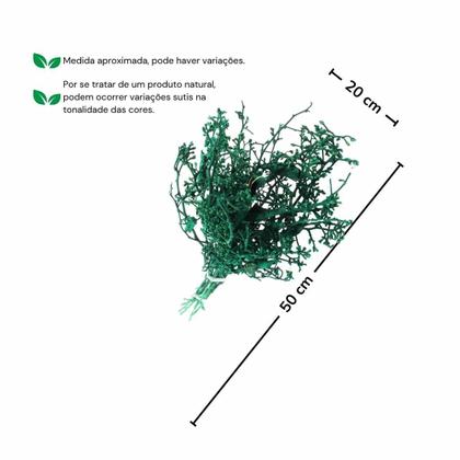 Imagem de Dedo De Anjo Verde Flor Desidratada Buque Flores Secas
