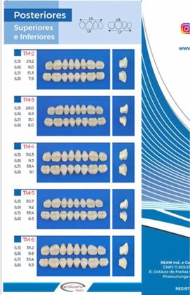 Imagem de Dentes Resina Bionix 2 Boca Completa Para Prótese Dentária