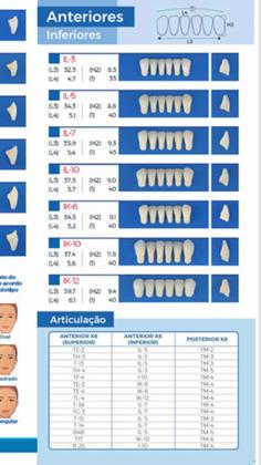 Imagem de Dentes Resina Bionix 2 Boca Completa Para Prótese Dentária