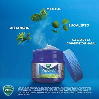 Imagem de Descongestionante Vick Vaporub Pomada 100g