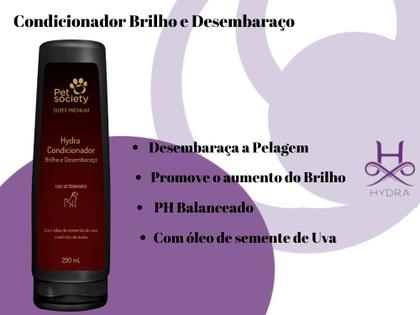 Imagem de Desembaraçador 240ml +  Filhotes 300ml + Condicionador 290ml