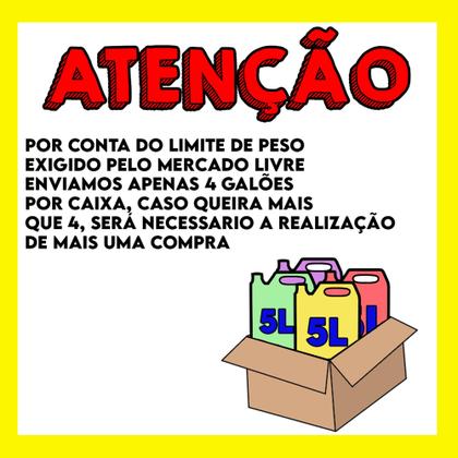 Imagem de Desinfetante Mega Concentrado Magnil Rende Até 500 Litros