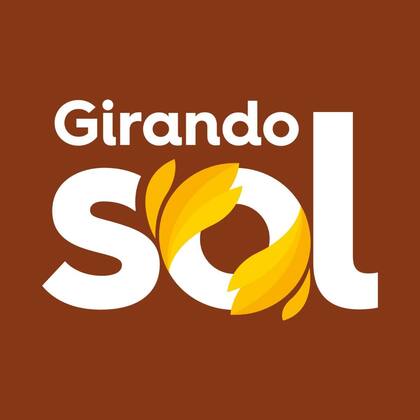 Imagem de Desinfetante Perfumado Pinho Girando Sol 500Ml, Desinfetante Líquido De Uso Geral, Marrom, Elimina 99,9% Dos Germes E Ba