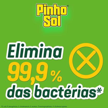 Imagem de Desinfetante Pinho Sol Original Refil Leve 500ml Pague 450ml