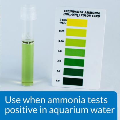 Imagem de Desintoxicante de amônia API AMMO-LOCK para água doce/água salgada 473 mL