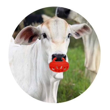 Imagem de Desmamador Tabuleta P/ Bezerros Focinheira Anel Desmame