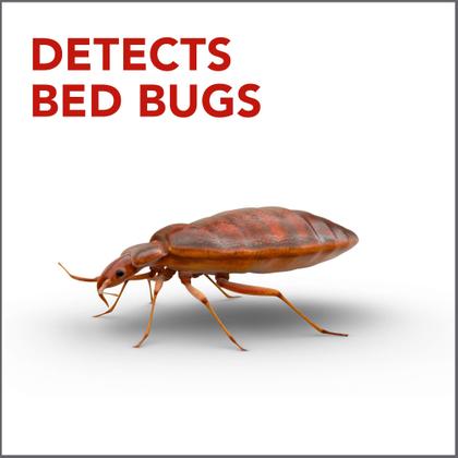 Imagem de Detector de Percevejos e Armadilhas Raid - Kit com 8 Unidades