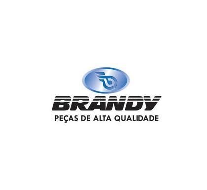 Imagem de Disco de freio dianteiro brandy xre300