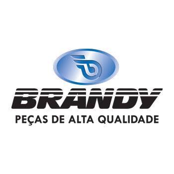 Imagem de Disco de freio dianteiro brandy xre300