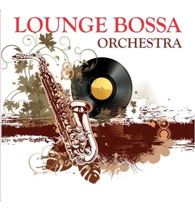 Imagem de Disco de Vinil LP Lounge Bossa Orchestra vol 1 NOVO