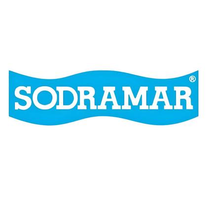 Imagem de Dispositivo Sodramar Para Piscinas De Fibra (aspiração)