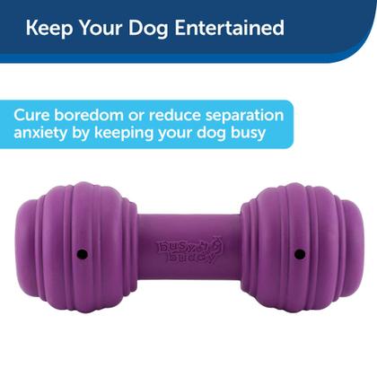 Imagem de Dog Chew Toy PetSafe Busy Buddy Chuckle Sound Treat Dispensador