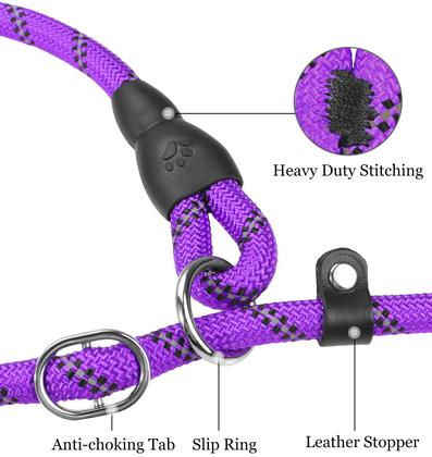 Imagem de Dog Leash TagMe Slip Lead, reflexivo de 6 pés para raças grandes