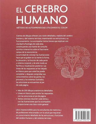 Imagem de El Cerebro Humano: Metodo de Autoaprendizaje Utilizando El Color - Librero