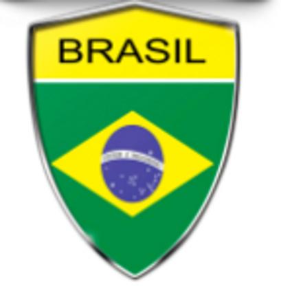 Imagem de Emblema escudo (brasil) universal moldura cromada