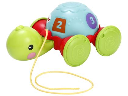 Imagem de Empurra Tartaruga