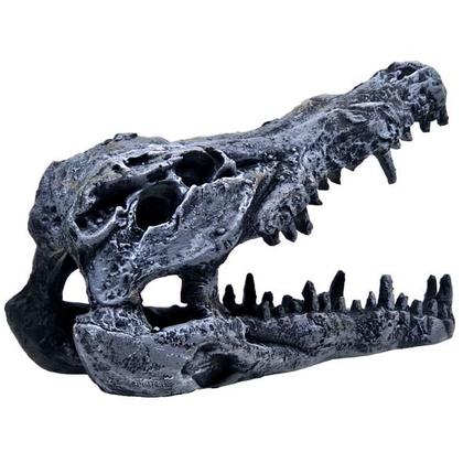 Imagem de Enfeite decoração em resina cabeça crânio jacaré crocodilo