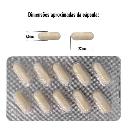 Imagem de Ergomemor Cognis (30 Cápsulas)