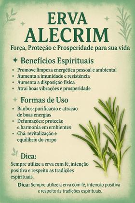 Imagem de Erva Alecrim na Umbanda e Candomblé  Limpeza Espiritual  Proteção  Vitalidade