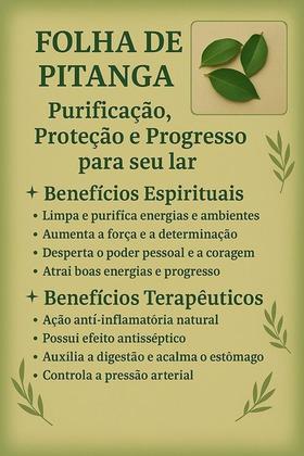 Imagem de Erva Folha de Pitanga na Umbanda e Candomblé  Purificação  Proteção  Renovação Espiritual