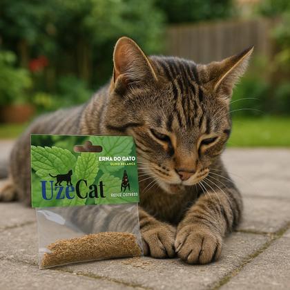Imagem de Erva Gato Catnip Natural UzeCat Relaxante 3g
