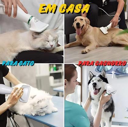 Imagem de Escova 2Em1 Secador Cabelo Pente Cão Gato Seca Portátil 110V