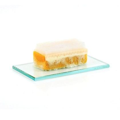 Imagem de Escova de Assepsia com Solução Degermante - Rioquímica