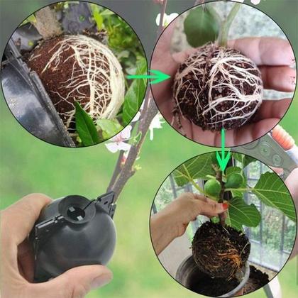 Imagem de Esfera Rooter P Clonar Plantas Alporquia Reutilizável
