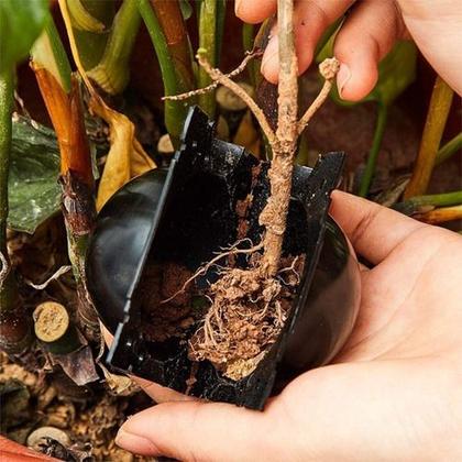 Imagem de Esfera Rooter P Clonar Plantas Alporquia Reutilizável
