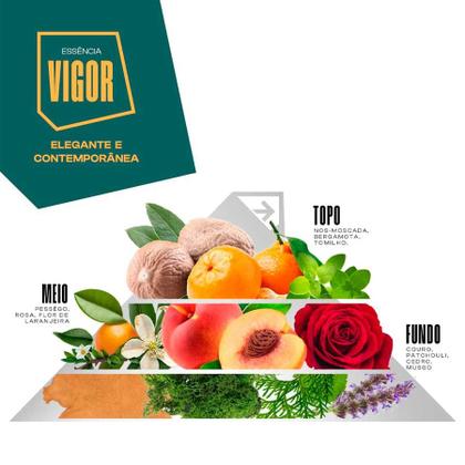 Imagem de Esfoliante Facial Vigor 250g Caroço de Damasco Antioxidante Partiu