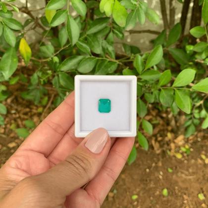 Imagem de Esmeralda EmeraldCut 2,73ct