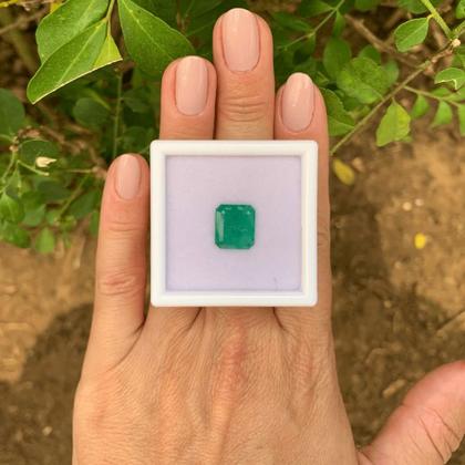 Imagem de Esmeralda EmeraldCut 3,94ct