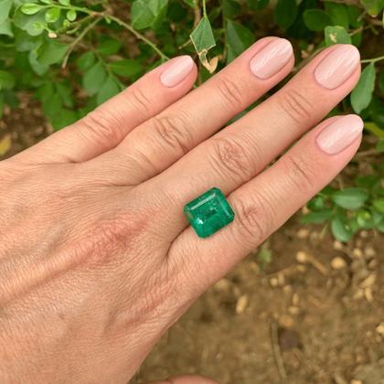 Imagem de Esmeralda EmeraldCut 8,40ct