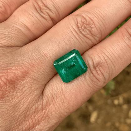 Imagem de Esmeralda EmeraldCut 8,40ct
